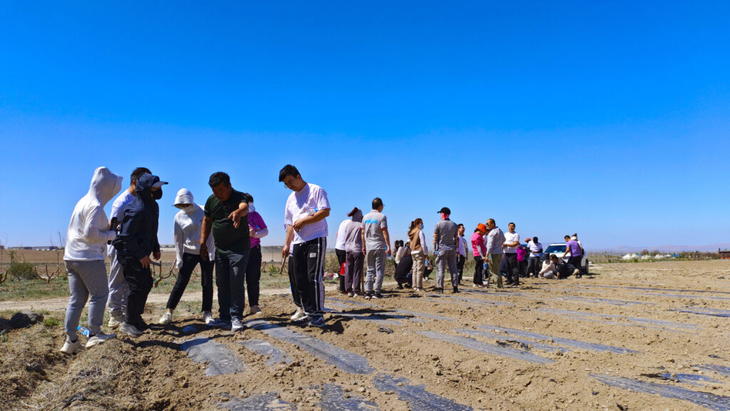 走进田园 播种希望|海博测评物流春种团建活动